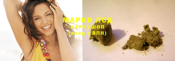 прущие грибы Баксан