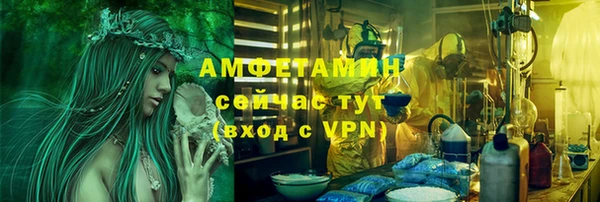 прущие грибы Баксан