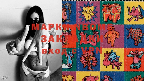 прущие грибы Баксан