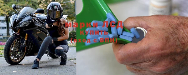 прущие грибы Баксан