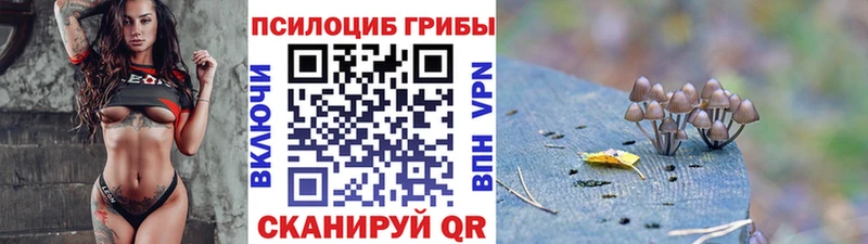 цены наркотик  Валуйки  Псилоцибиновые грибы Magic Shrooms 