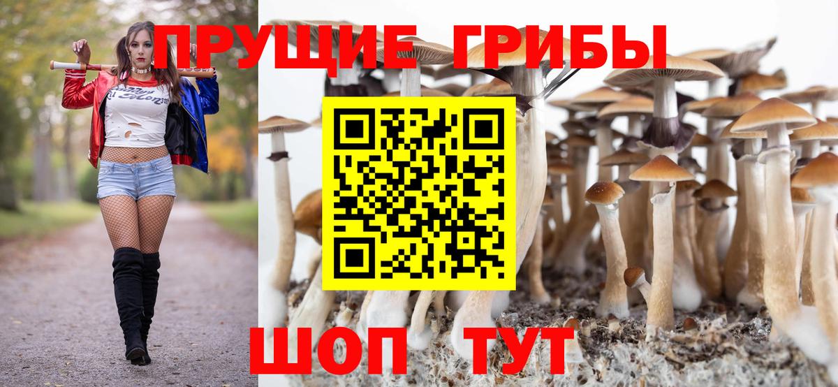 Псилоцибиновые грибы MAGIC MUSHROOMS Валуйки