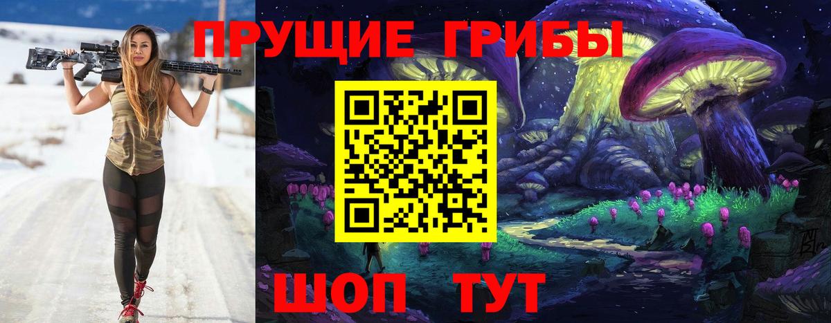 Галлюциногенные грибы прущие грибы  Вход с VPN  Валуйки 